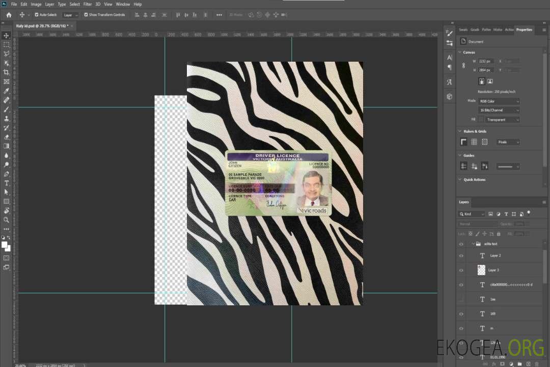Australie État de Victoria DL photolook AVANT template Australie État de Victoria DL photolook AVANT template
